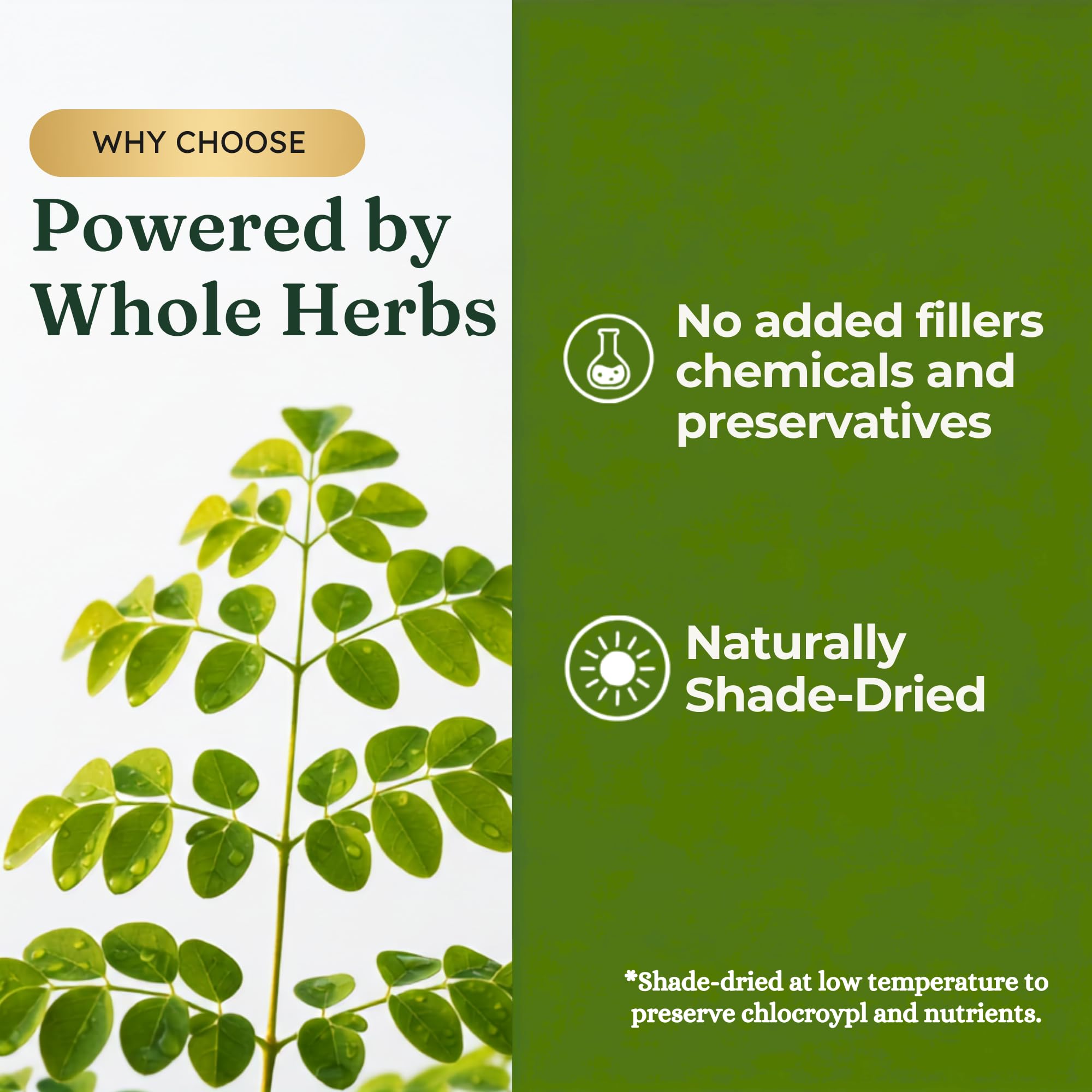 KINETQ Organic Moringa Leaf Powder 200g (2x100g) | Rich in Iron & Protein product image 12