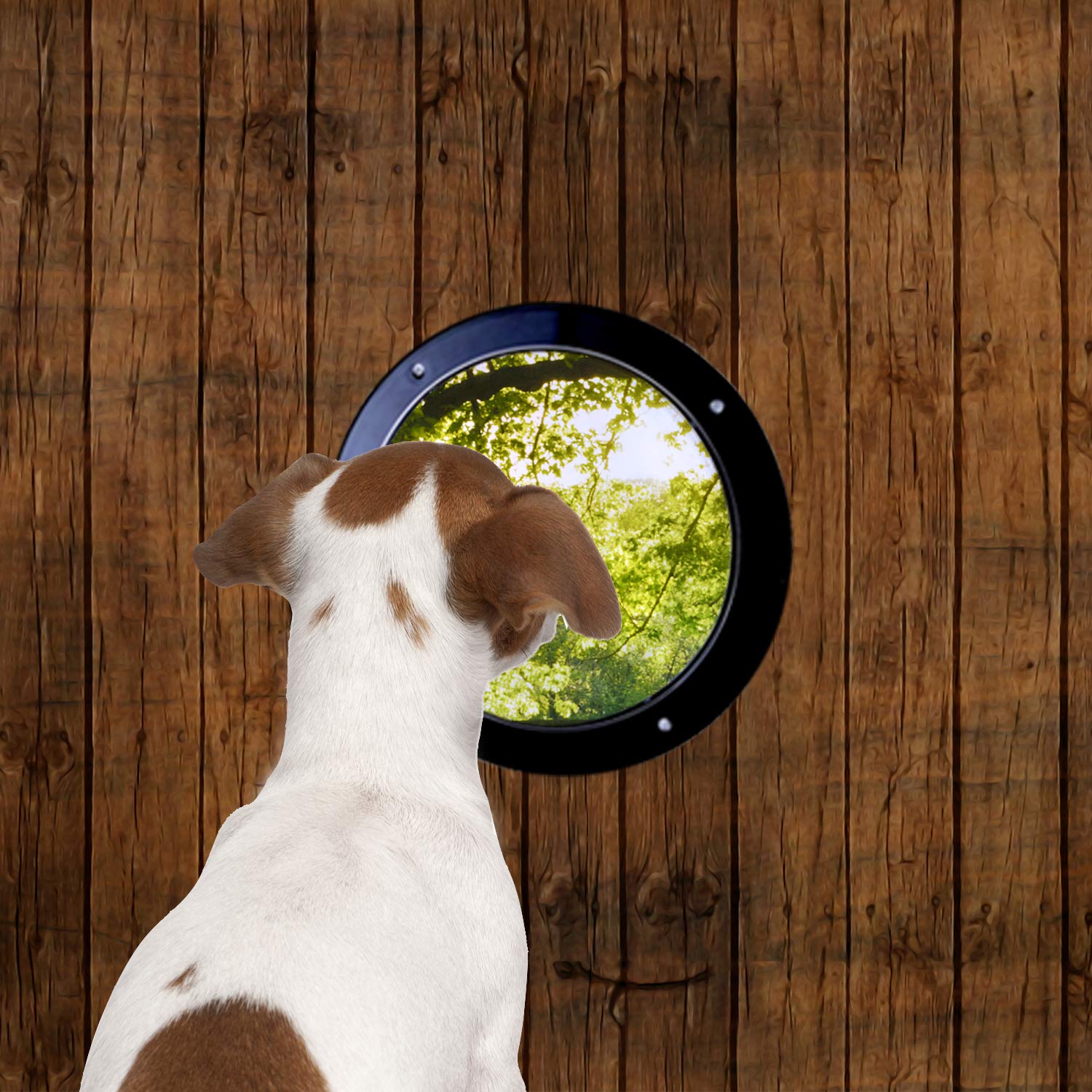 Buy Dog Fence Window, Pet Peek Porthole Window Acrylic Dome Clear View for Fence Door Gate