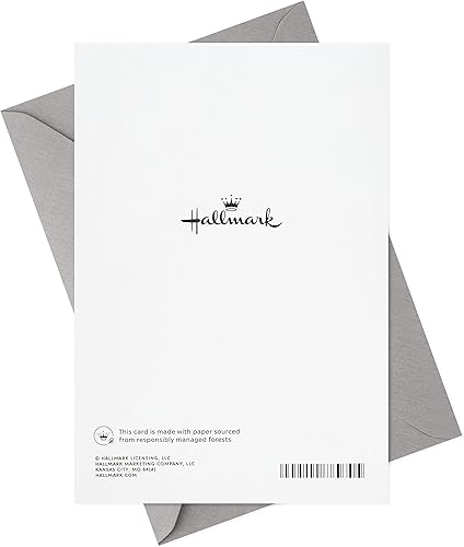 Miniatura 7 de Hallmark Paquete de tarjetas del día de San Valentín, feliz día del corazón (10 tarjetas del día de San Valentín con sobres)