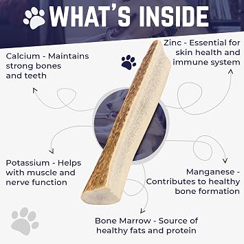 Devil Dog Pet Co Split Elk Antlers for Dogs, Medium, Long Lasting | Naturally shed Grade A elk antler split for marrow access, single ingredient, 7/10 hardness, 5 in+, fits breeds up to 40 lb