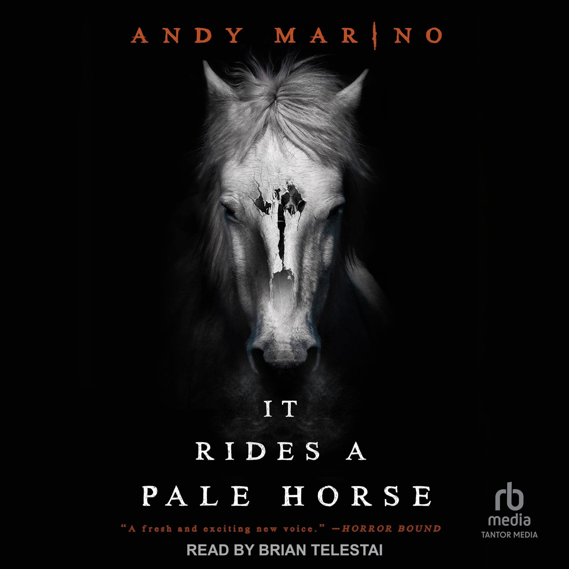 Cover art for It Rides a Pale Horse