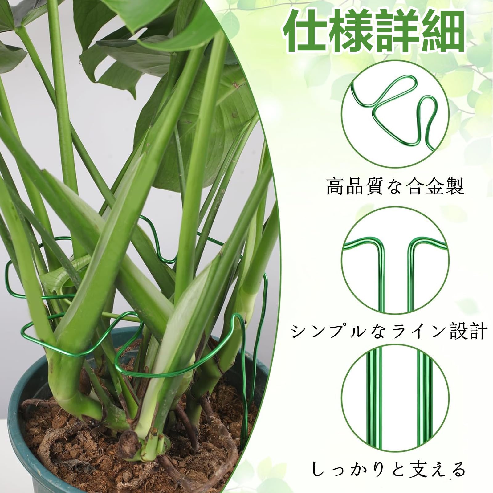 Amazon | 園芸支柱 モンステラ 植物支柱 観葉支柱 植物サポート 植物茎