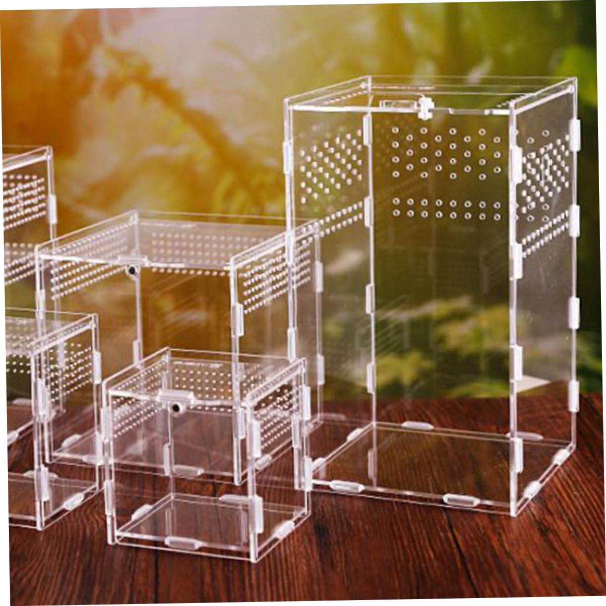 Toyvian Caja de Cría para Reptiles y Insectos de Acrílico Transparente Orificios Ventilados, Tapa Extraíble y Fácil Limpieza, Adecuado para Terrario Doméstico y Cría, Arañas o Isópodos