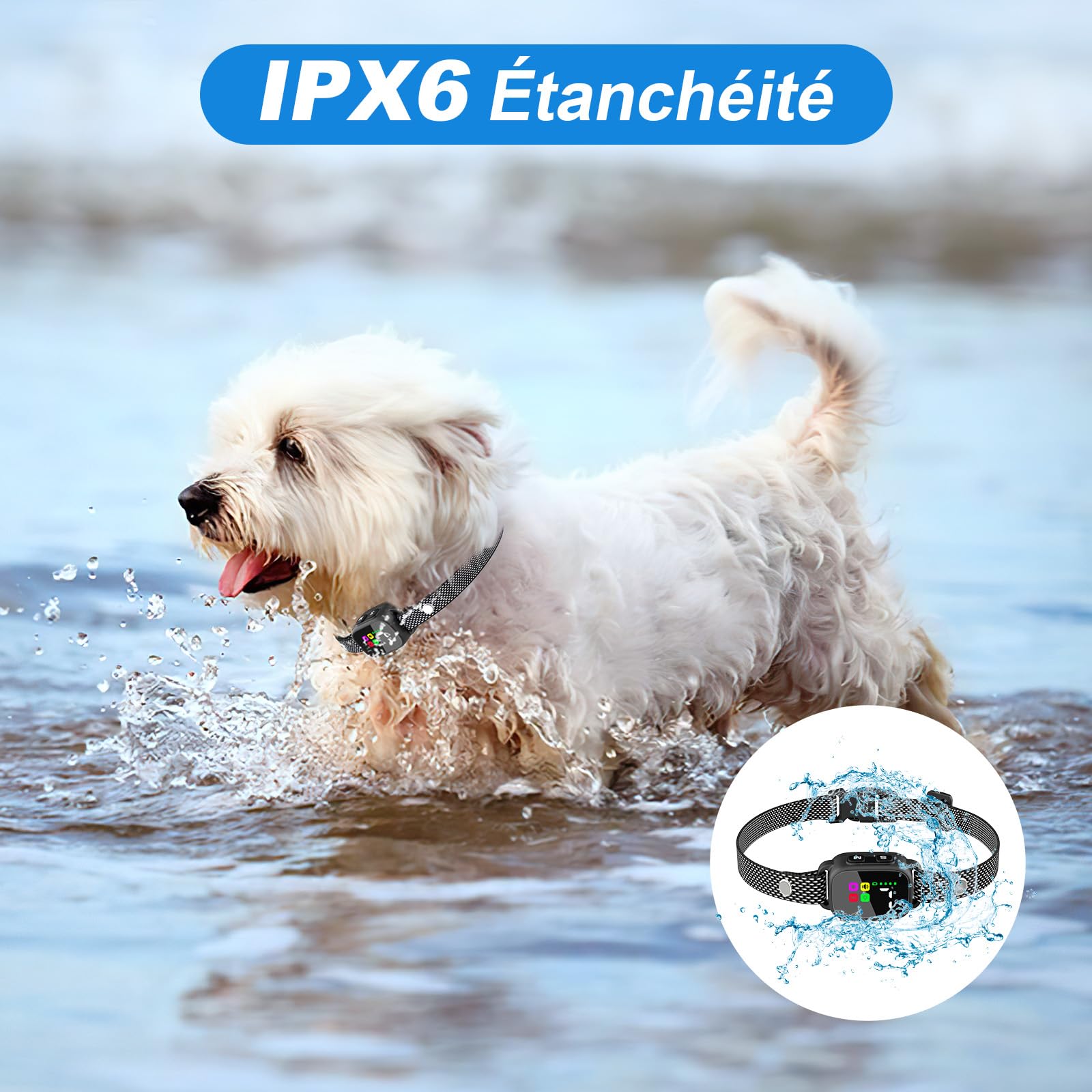 MASBRILL Collier Anti Aboiement pour Petits Chiens, Rechargeable Anti Aboiement Collier Dressage avec 3 Modes Son/Vibration, 7 Niveaux de Sensibilité