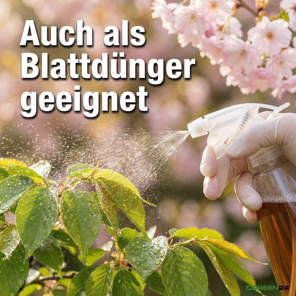 Zierkirsche-Dnger - Flssigdnger fr japanische Kirsche (Prunus  serrulata, Prunus incisa, Prunus subhirtella) 250ml : Amazon.de: Garten
