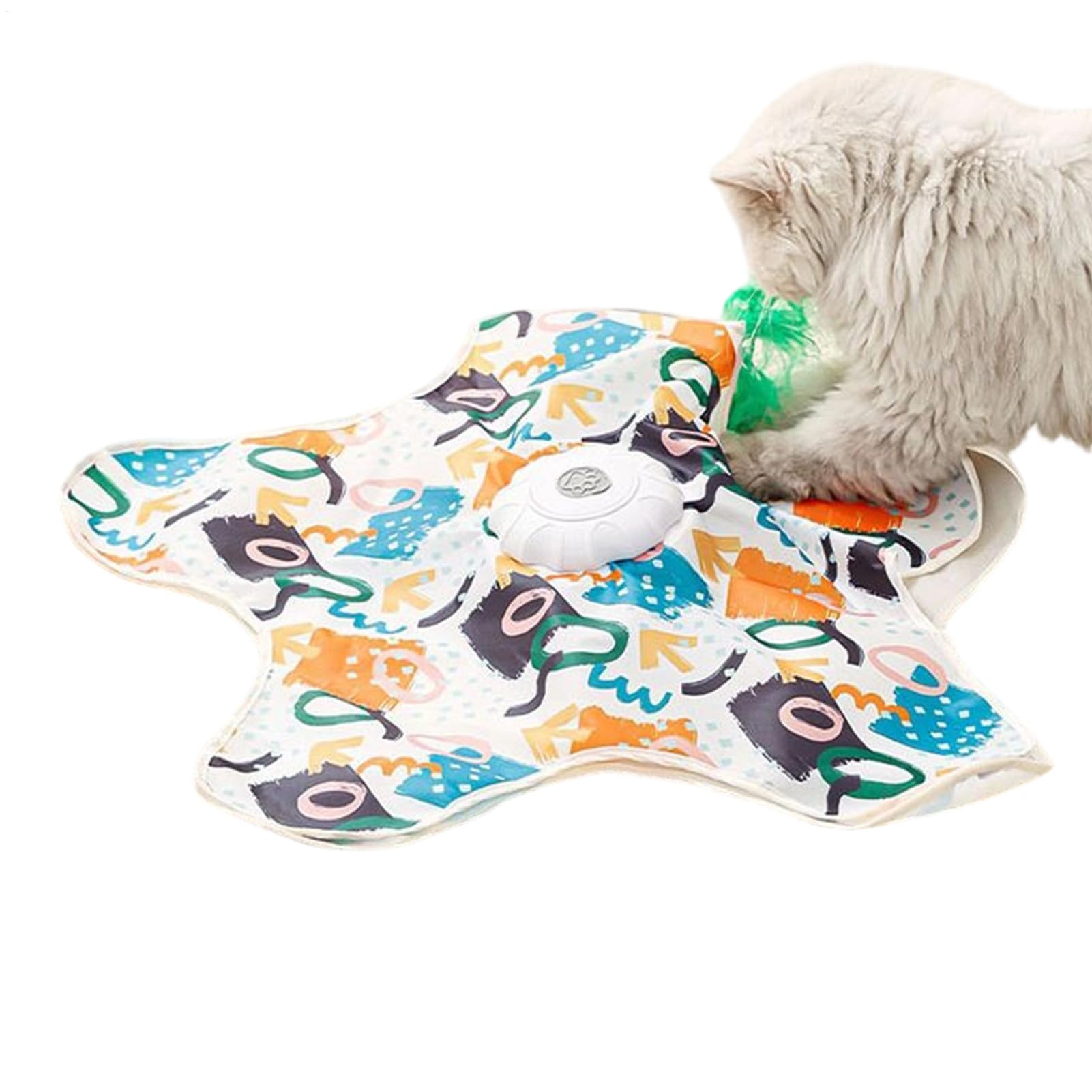 Fournitures pour chaton et jouet interactif pour chats pour stimuler l'instinct de chasse