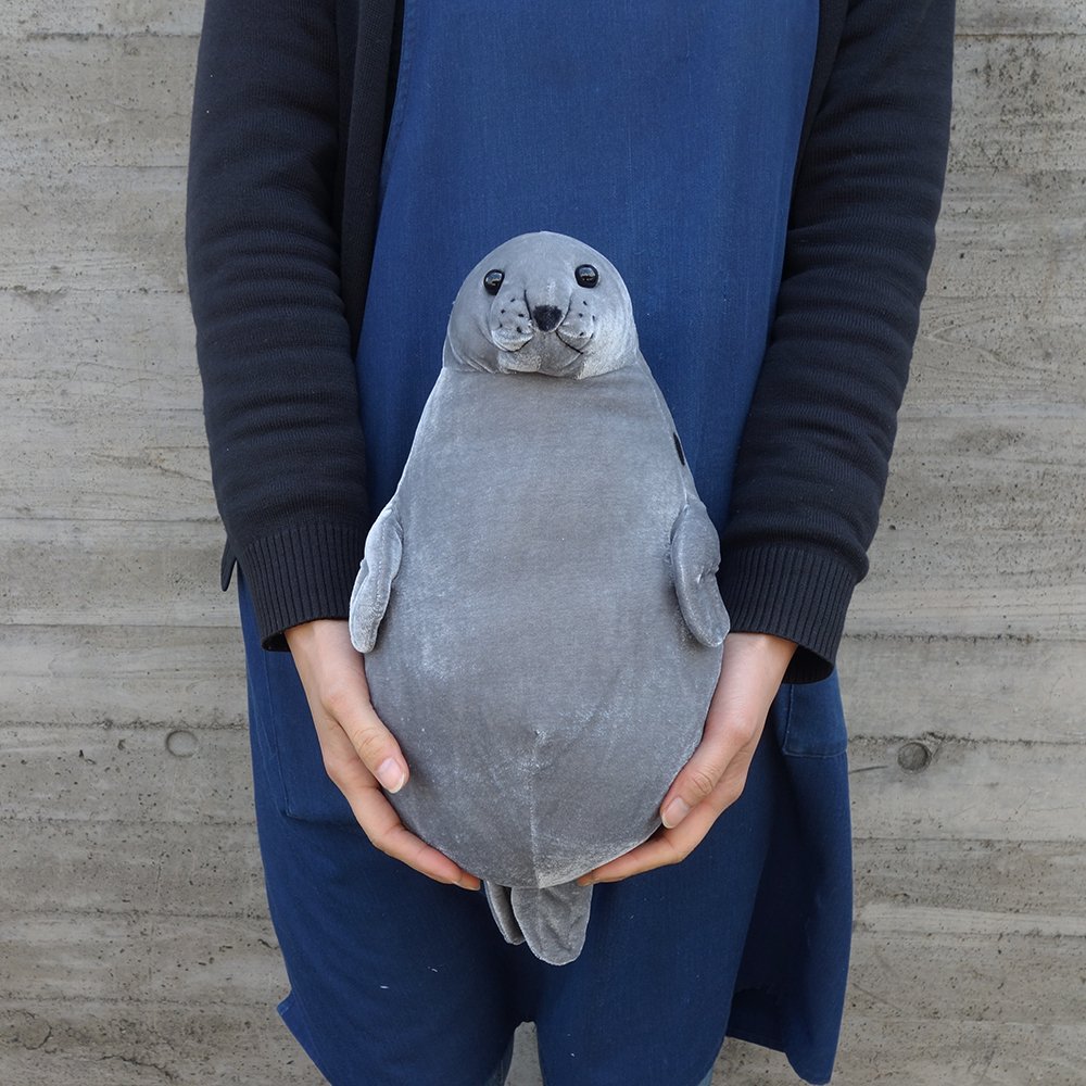 Amazon.co.jp: 海中散歩 あざらしたっちっち ぬいぐるみ(M) 高さ34cm