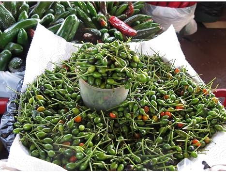Generic Chile Pequin Peppers Seeds 45 Seeds