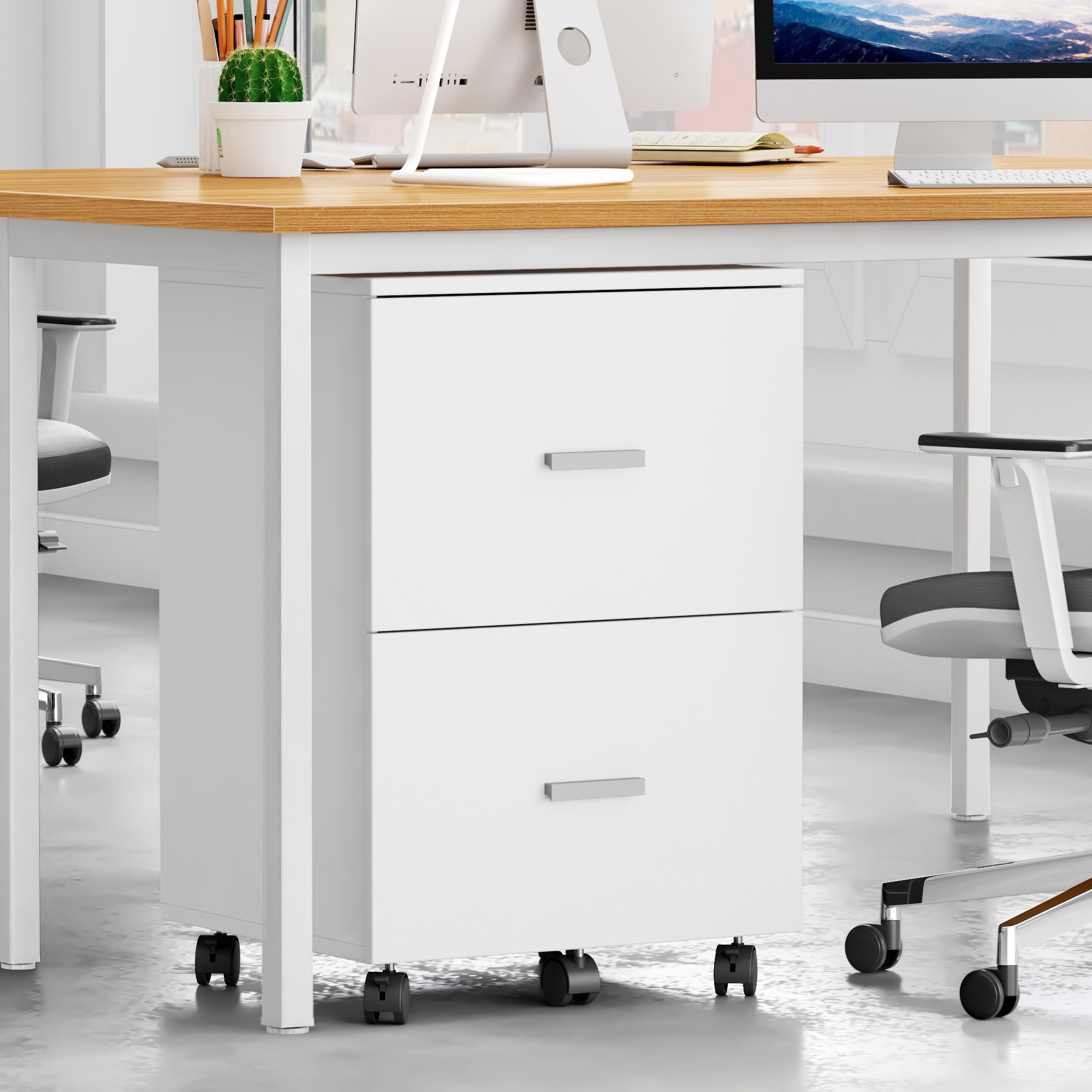 SDHYL Armario archivador de 2 cajones con ruedas, organizador de oficina para A4/cartas/documentos legales, 46,2 x 40 x 67,5 cm (blanco)