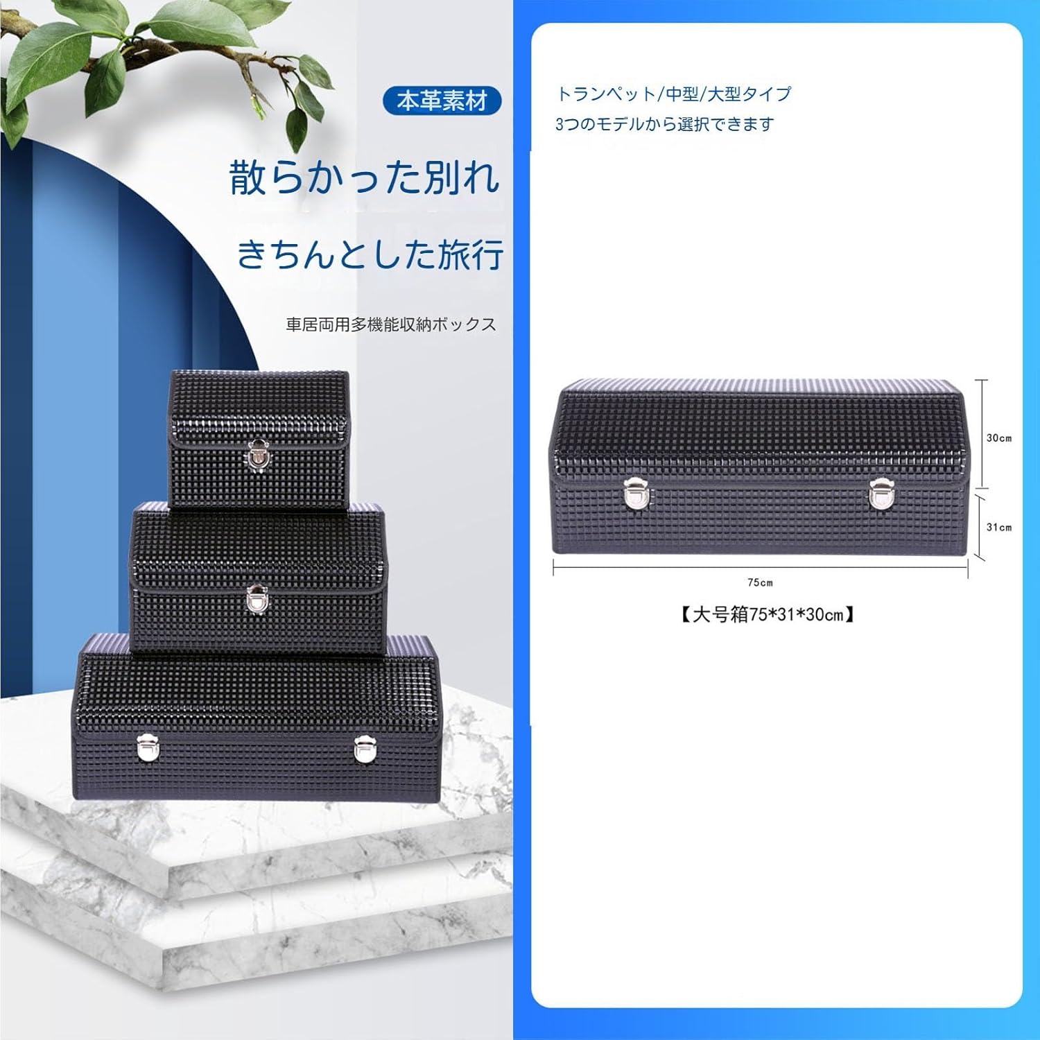 ALBION アルビオン メイクブラシセット 6本 メイクブラシケース 黒