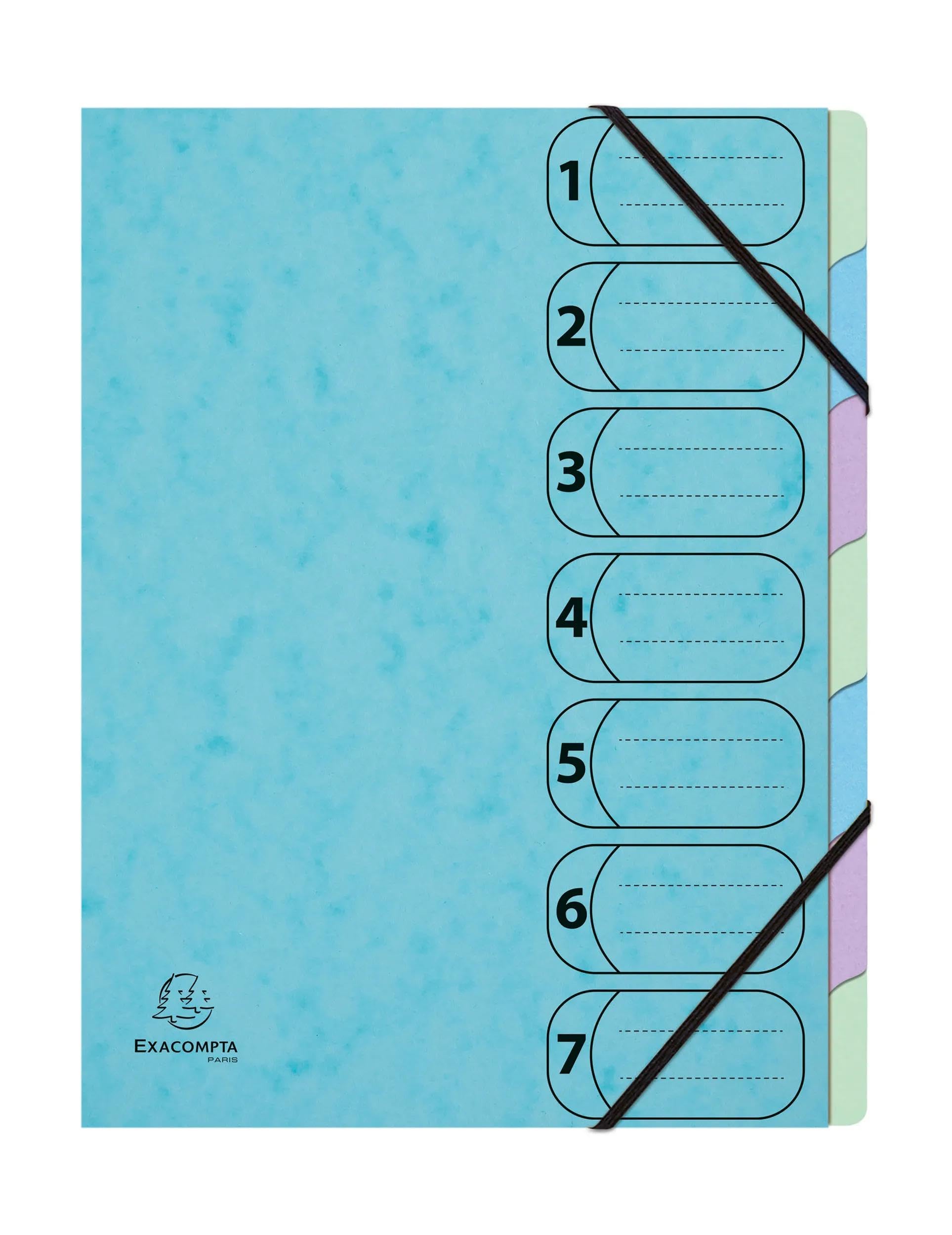 Exacompta - Ref 56560E - Box of 8 HARMONIKA Aquarel File Boxes - with Elastic Bands and Printed Windows - Expandable Spine - Glossy Card Cover - 7 compartments - 24.5x32cm - A4 - Assorted