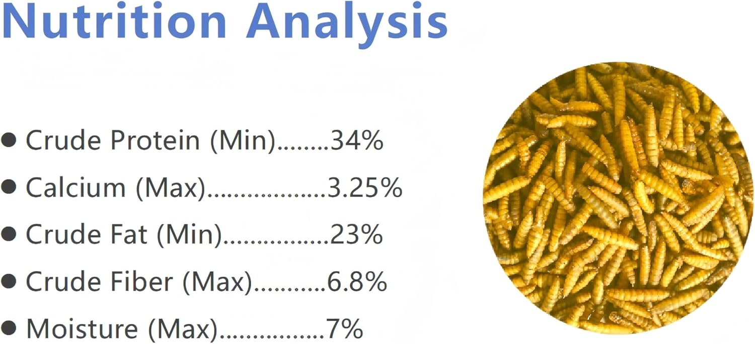 10lb Dried Black Soldier Fly Larvae Chicken Feed,100% Natural Non-GMO BSF Larvae,More Calcium Than Mealworms,High Protein Chickens Treats, Food for Wild Birds, Ducks, Laying Hens - Image 2
