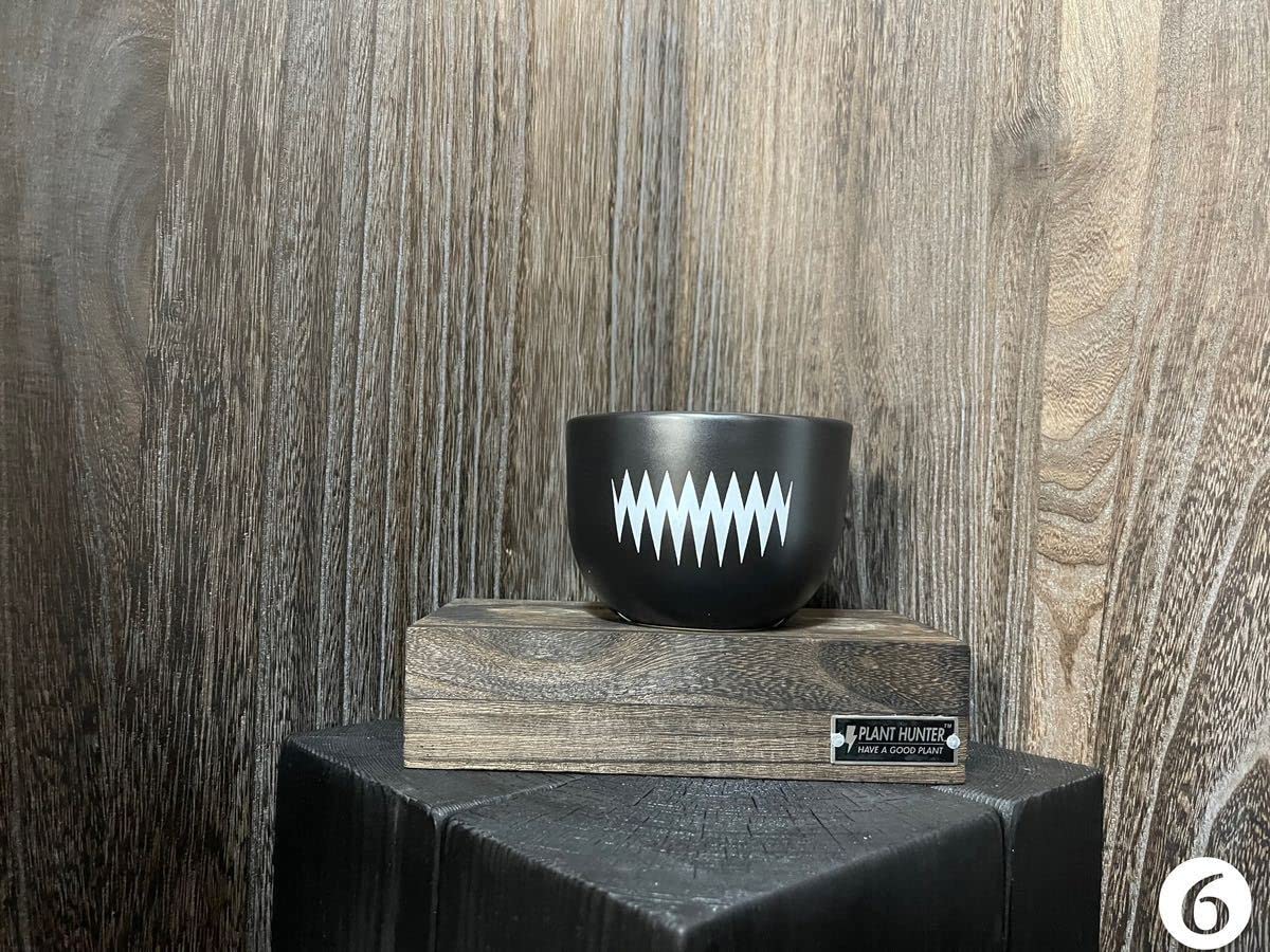 Amazon.co.jp: ⑥少量入荷 PLANT HUNTER 植物ハンター オリジナル 陶器