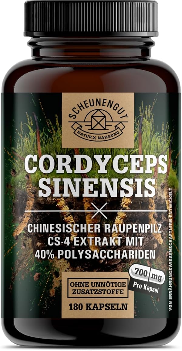 Cordyceps 1400mg -WICHTIG: 10:1 Extrakt (=14000mg reiner Raupenpilz pro Tagesdosis) +40% bioaktive Polysaccharide -Cordyceps Kapseln Hochdosiert- Vegan DE SCHEUNENGUT®