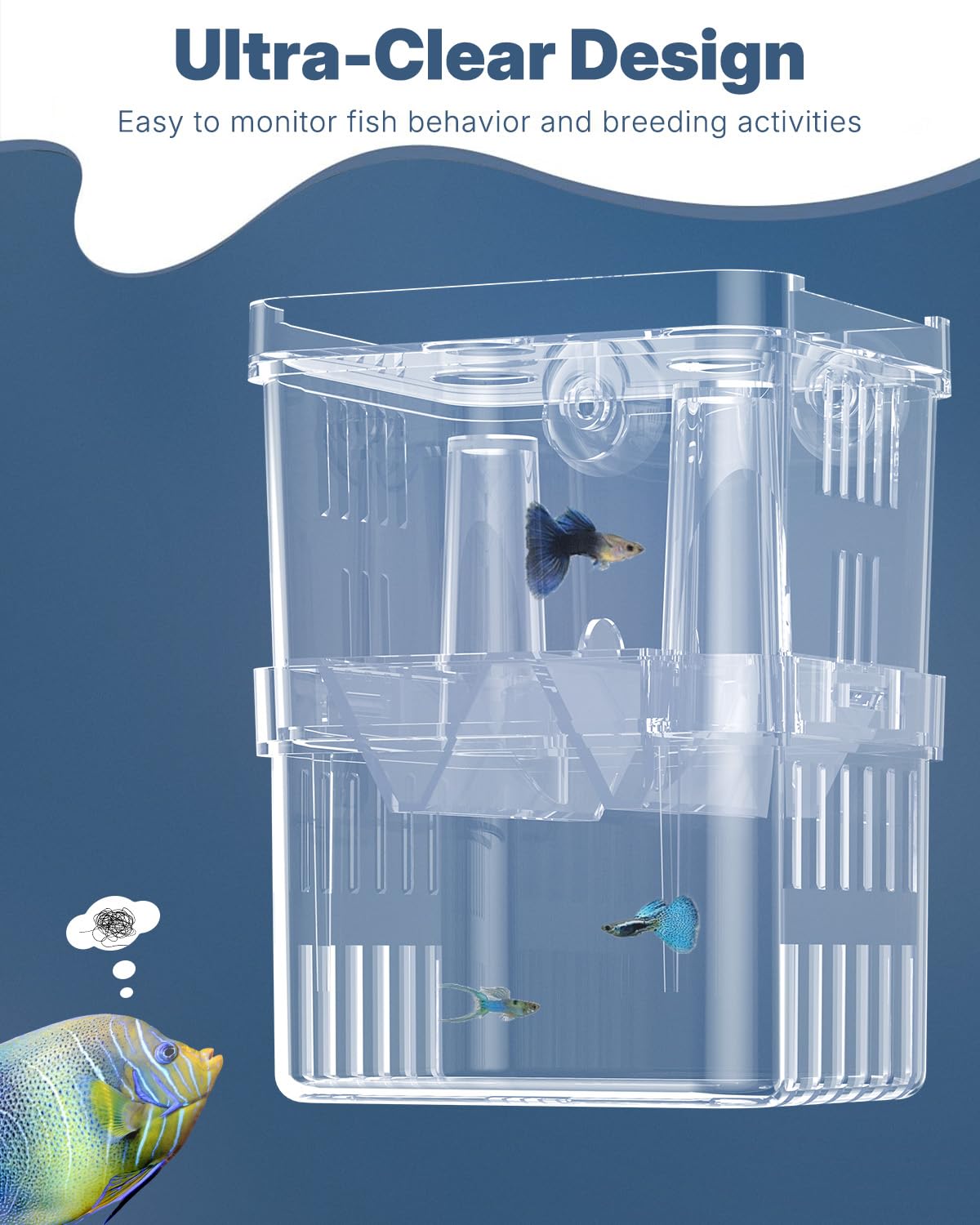 Pawfly acquario pesce allevamento box trasparente plastica Breeder Box per serbatoio di pesce avannotti incubatore incubazione Box per pesci aggressivi Guppy