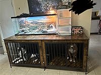 Review Image by Jasmine MacDonald Jasmine MacDonald