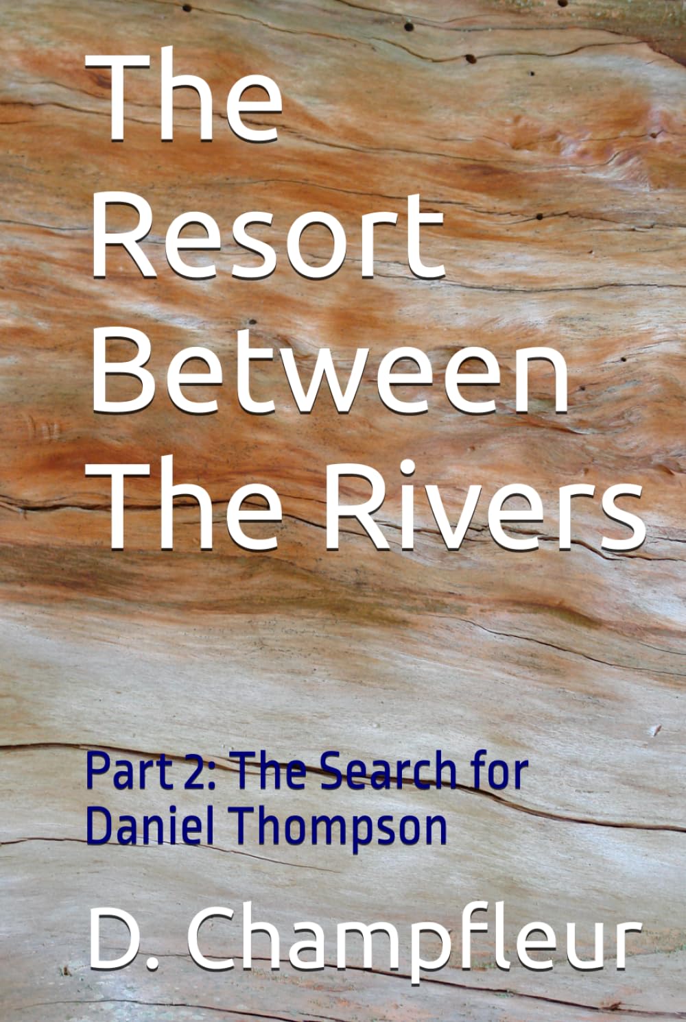 The Resort Between The Rivers: Part 1: The Disappearance of Daniel Thompson (The Lighthorse Mysteries)