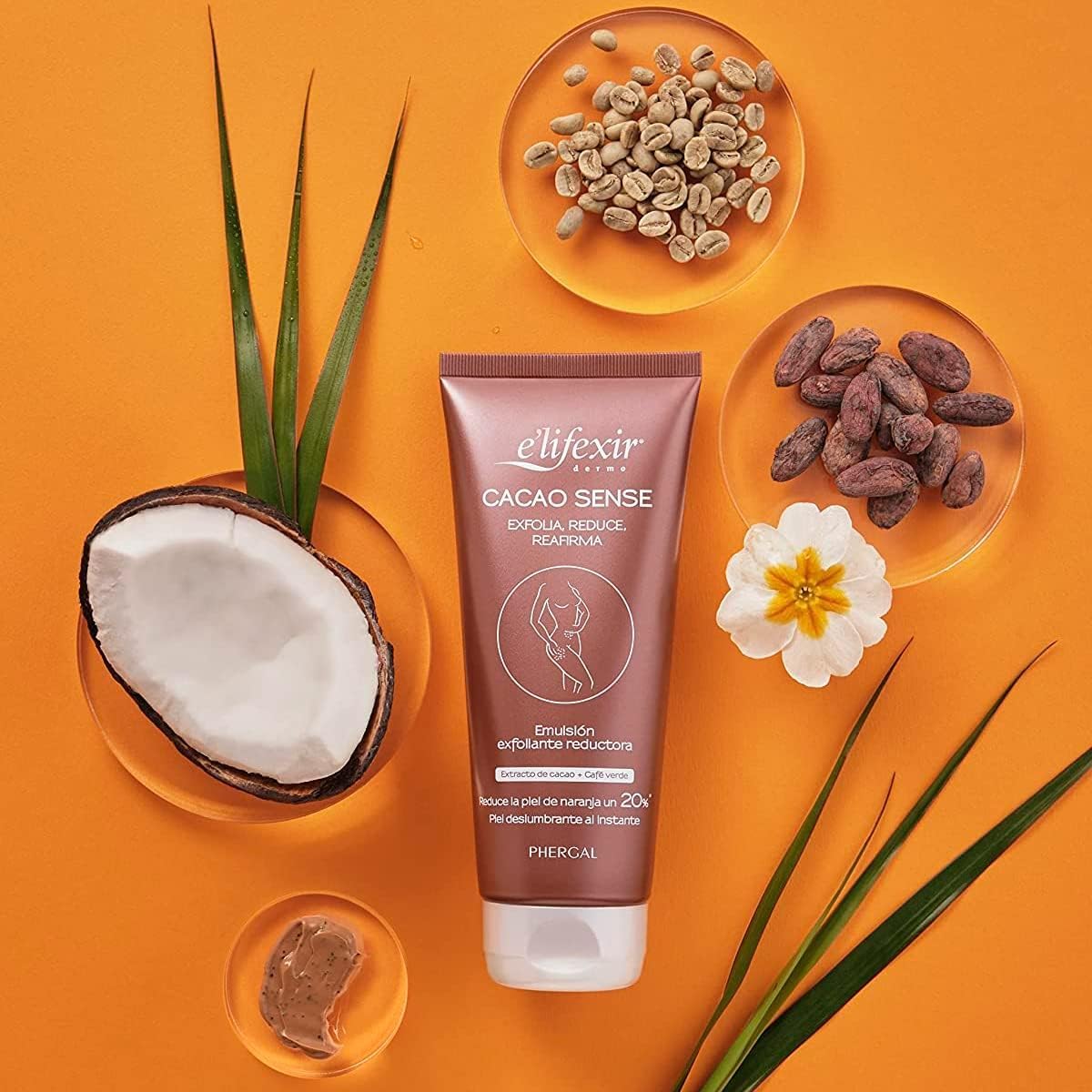 Elifexir | Cacao Sense + Nocturslim + Vientre Plano | Exfoliante Corporal + Quemagrasas Nocturno + Gel Reductor abdomen | Luce una Figura Esculpida | 200ml + 200ml + 200ml