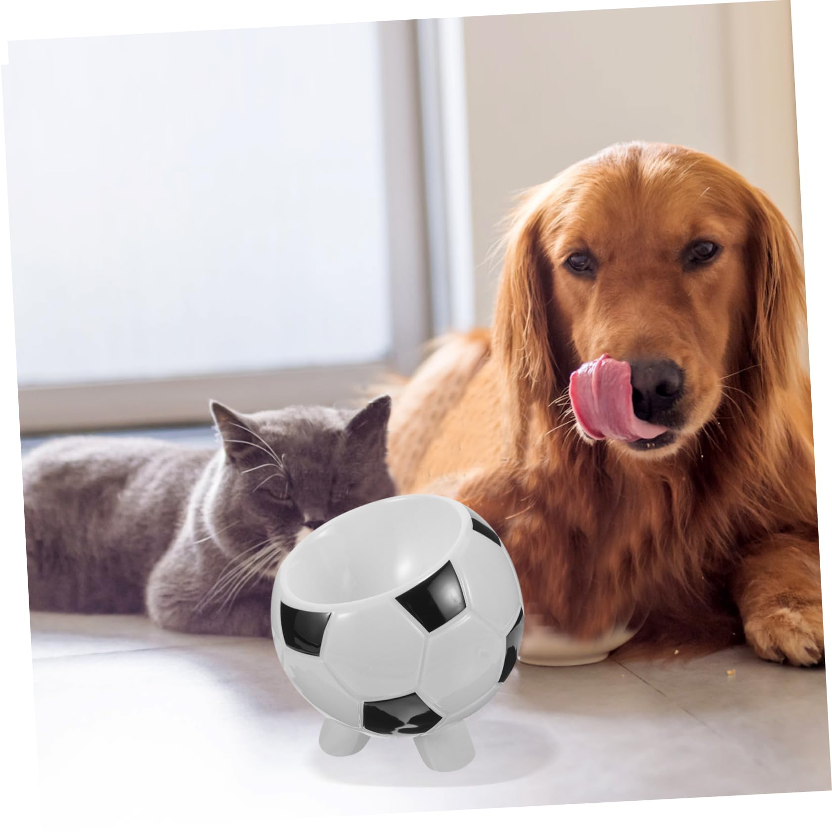 Ciotola per Animali da Calcio in Ceramica Facile da Lavare | Pappa Gatto e Cane, Texture Liscia, Uso per Pet Supply, Adatta a Ogni Occasione