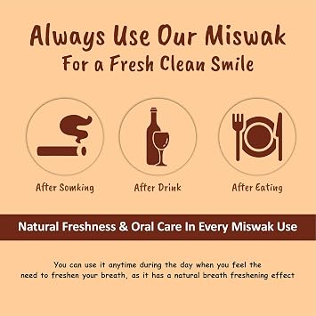 Miswak Stick for Teeth - Vacuum-Sealed Chewing Sticks, No Toothpaste Needed, Also Known as Siwak, Meswak, or | Pack of 3 Miswak Sticks with Holder