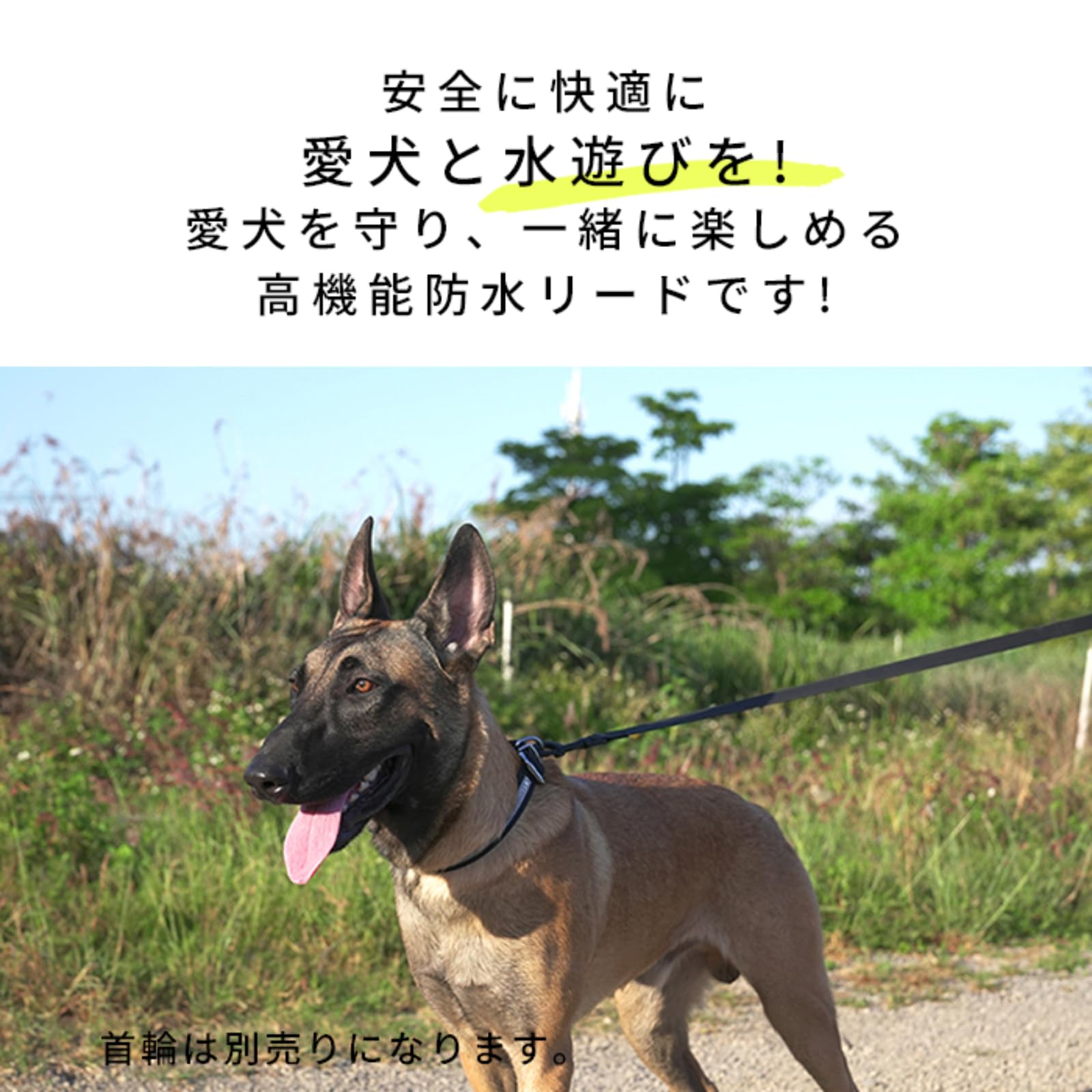 【abu】ウォータープルーフ多機能リード Amazon | [FRENCH FRENCH] 防水リード 犬 ウォータープルーフリード 犬