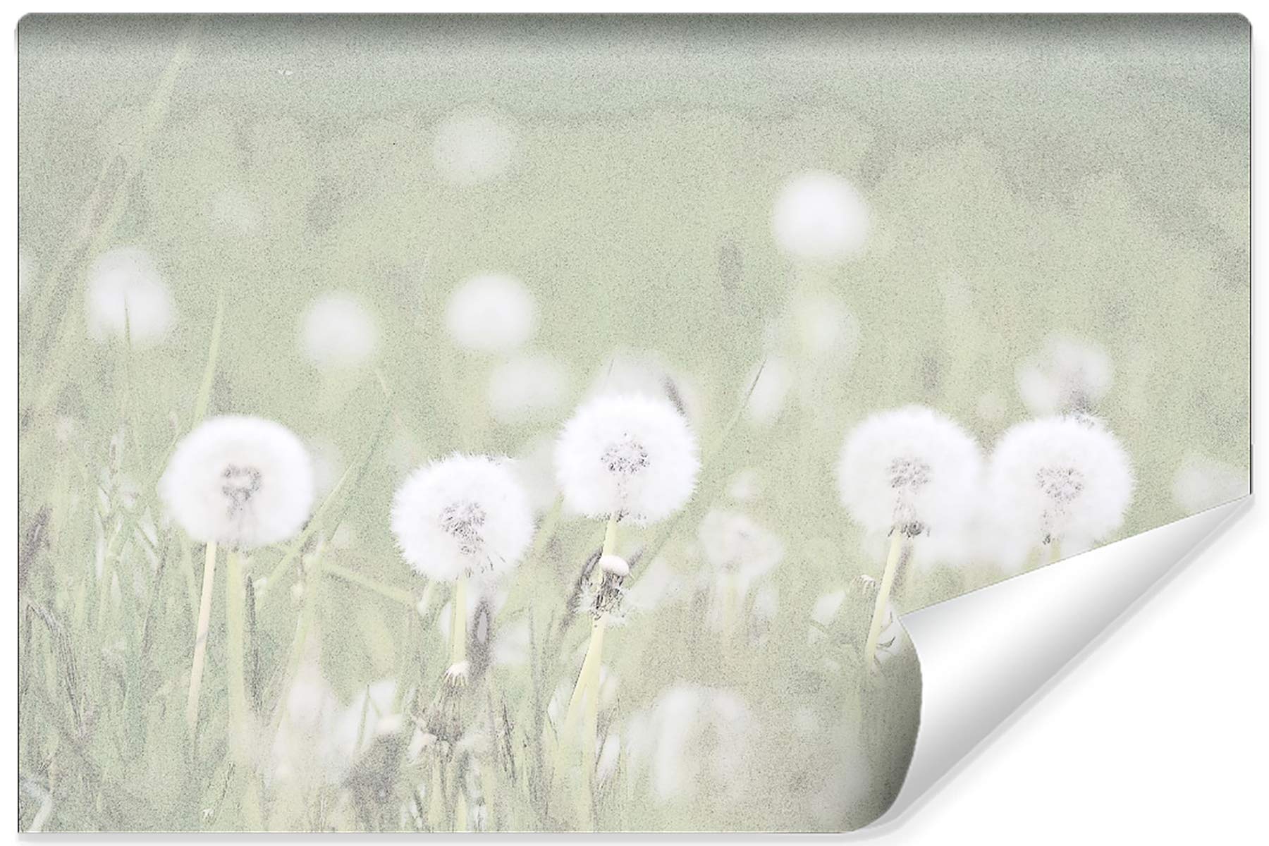Muralo Mniszek lekarski, fototapeta z filcu z motywem kwiatów, do salonu, sypialni, rozmiar XXL, 300 cm x 210 cm