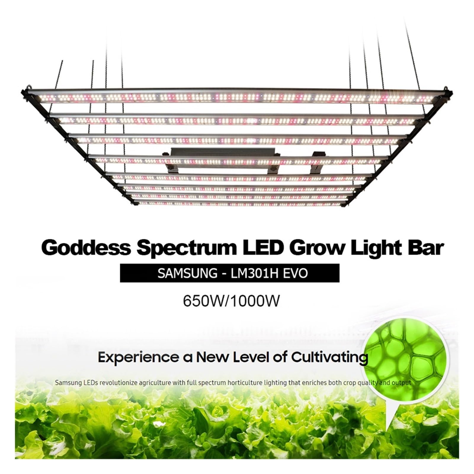 1000W LED LM301H EVO listwa świetlna led do uprawy UV IR włącz/wyłącz lampę fito dla rośliny doniczkowe kwiaty nasiona szklarniowe