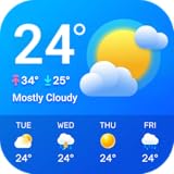 Weather Local 2026