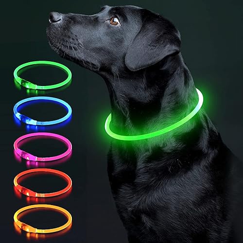 Colaseeme LED Dog Collar Light Up Dog Collars 1 Count USB Rechargeable TPU Glow Safety Basic Dog Collars for Large Medium Small Dogs (Green)