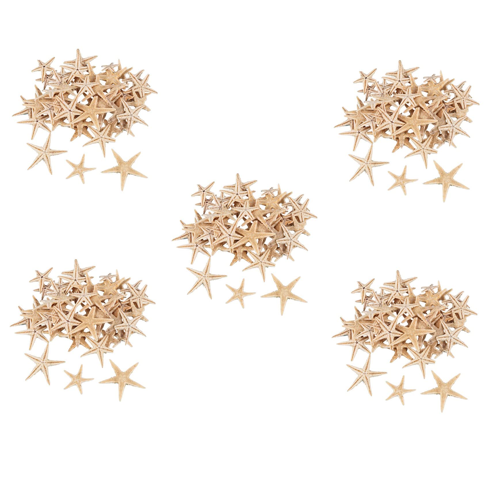 Estrella de mar pequeña natural y conchas de playa miniatura para manualidades 450 uds
