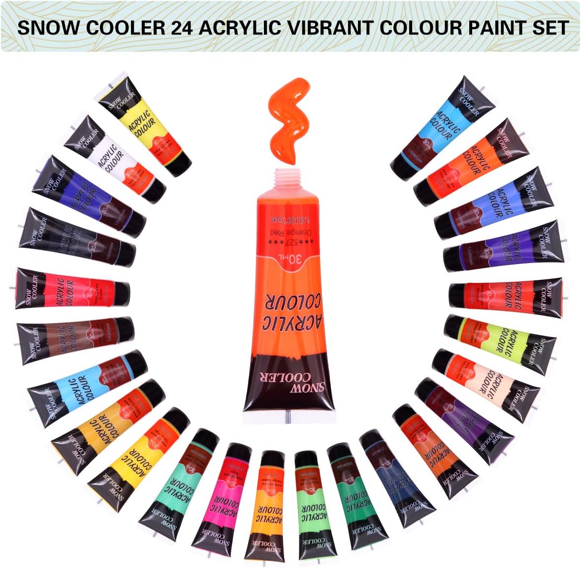 Acrylic Paint Set, 24 Colors 30ml Acrylic Paint for Artists Beginners Students, Art Craft Paints for Canvas Wood Fabric Painting