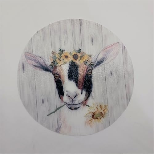 Miniatura 2 de Andreas Silicone JO-417 - Abridor de tarros antideslizante de 6.25 pulgadas, fácil abridor de tapa, fabricado con silicona y tela, apto para