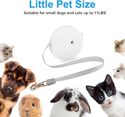 Miniatura 4 de Correa retráctil para perros pequeños y gatos de hasta 11 libras con cinta de nailon fuerte antitirones de 6.5 pies, manos libres, mini correa