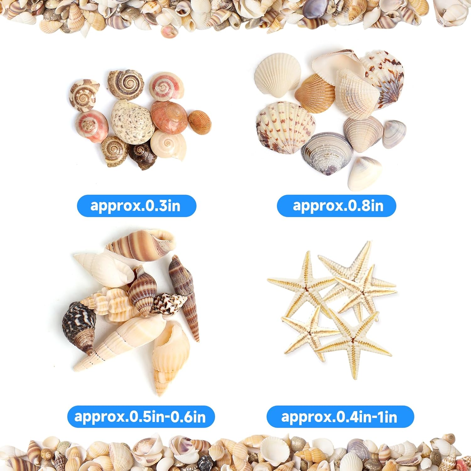 2000 pcs Mini Seashells with 10 pcs Starfish,Sea Shells for Crafting,Small Seashells for DIY Jewelry, Home Decor, Ocean Themed Party - Image 3