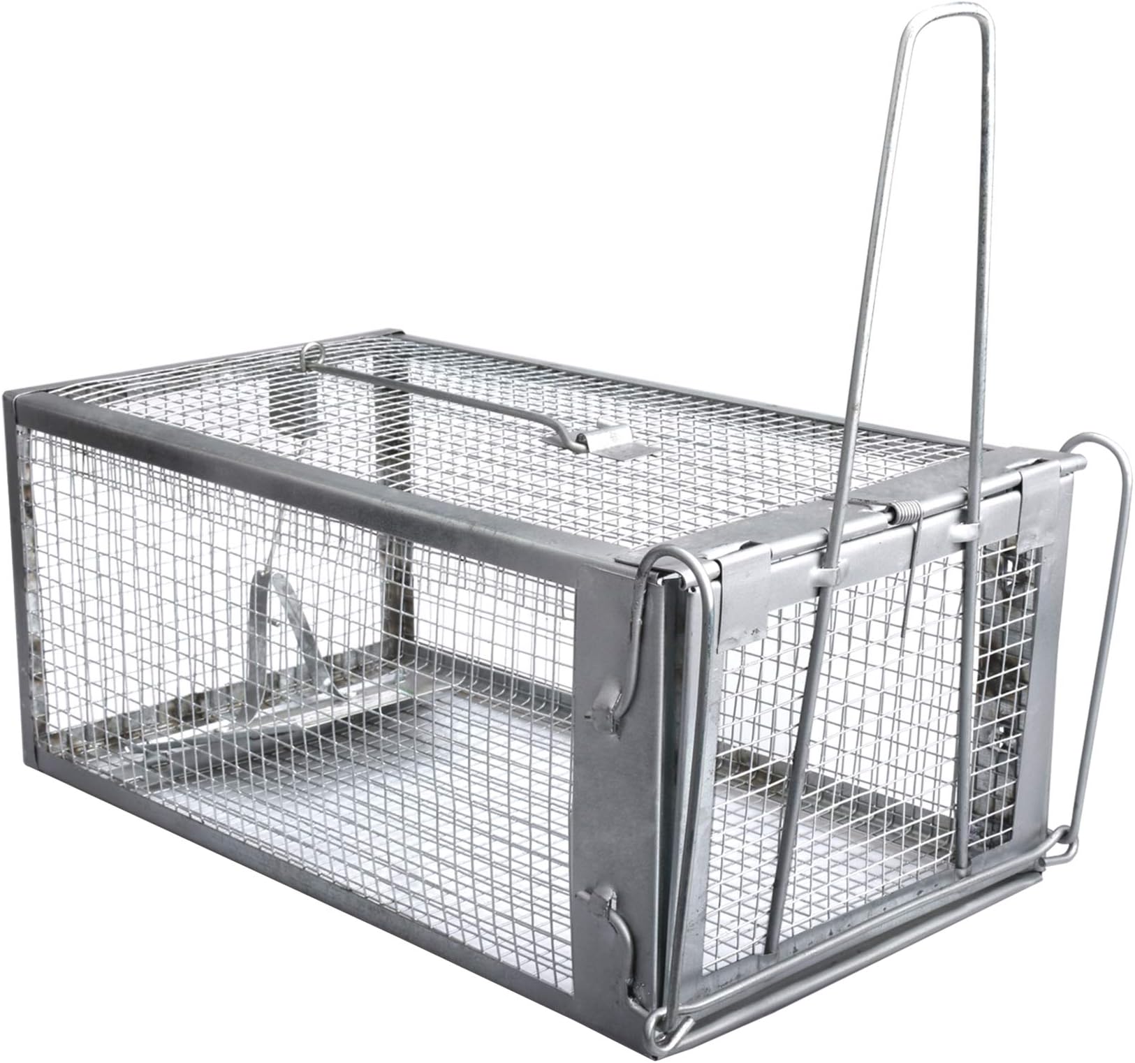 Gingbau Live Chipmunk Trap Humane Rat Mouse Cage Trap