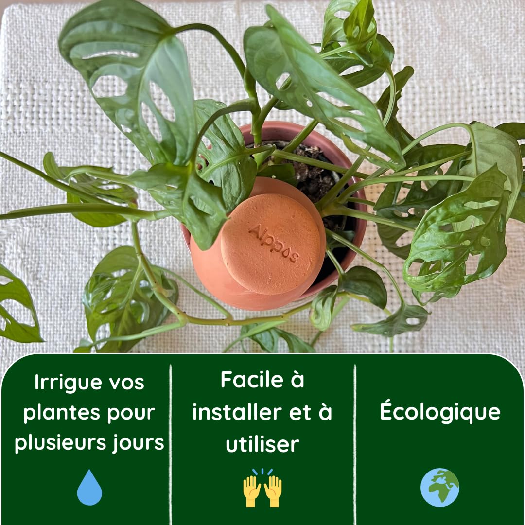 3 Oyas à Planter 400 ML en Terre Cuite avec Couvercle – Ideale pour Petit Pot - Arrosage Automatique Écologique pour Plantes d’Intérieur et d’Extérieur – Autonomie Jusqu’à 1 Semaine-