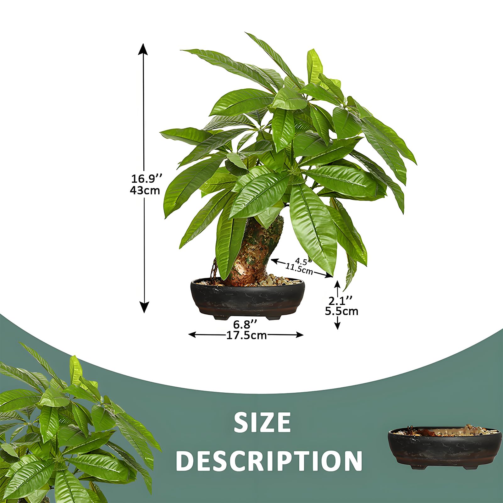 Amazon.com: 16 Inch Fake Money Tree, Artificial Bonsai Money Tree for Good  Luck Fortune, Small Faux Potted Plant for Home Office Desk Living Room  Bedroom Decor : Home & Kitchen