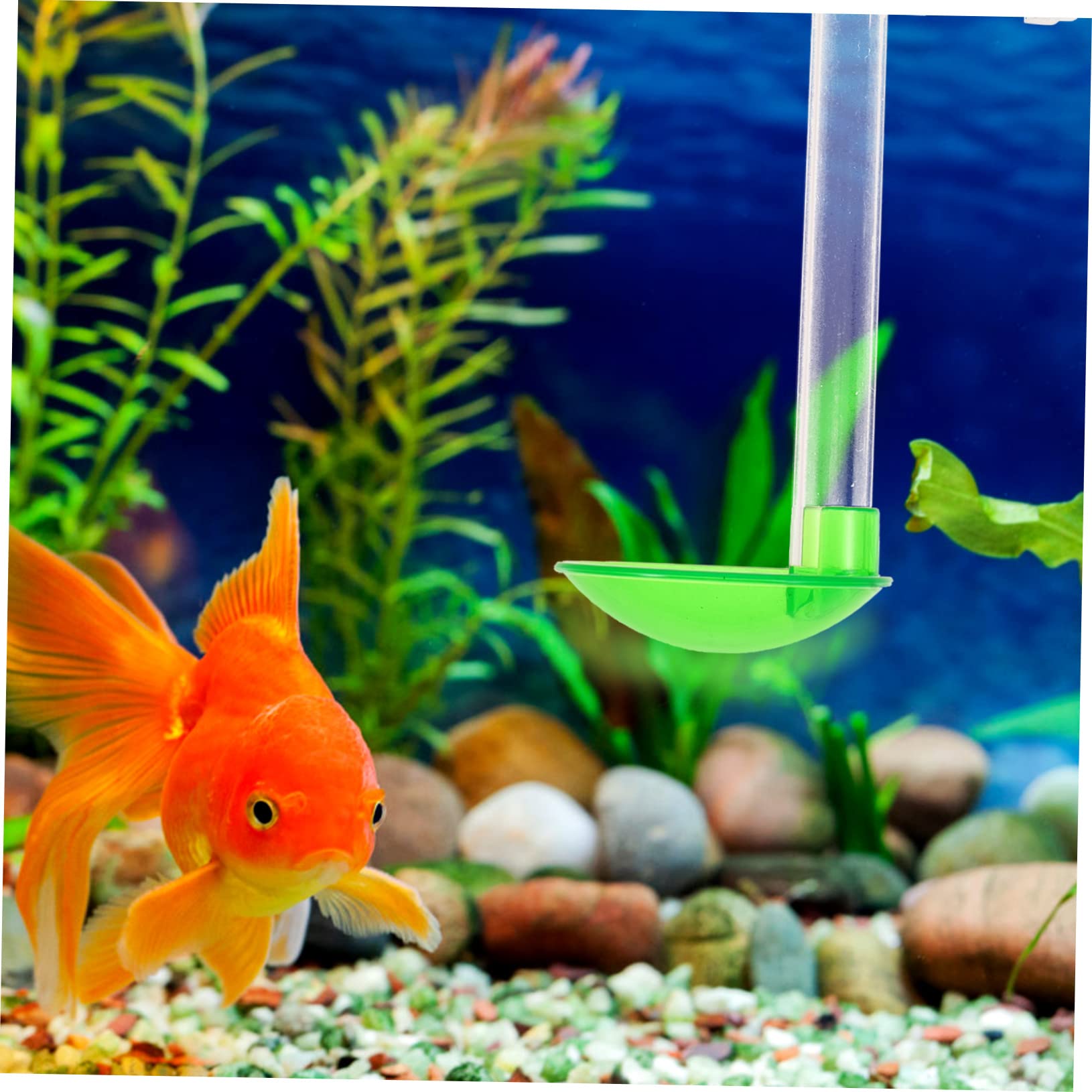 POPETPOP 3juegos Alimentador De Camarones para Acuario Transparente Accesorio Multifuncional De Acuario Fácil Instalación y Limpieza Material Duradero