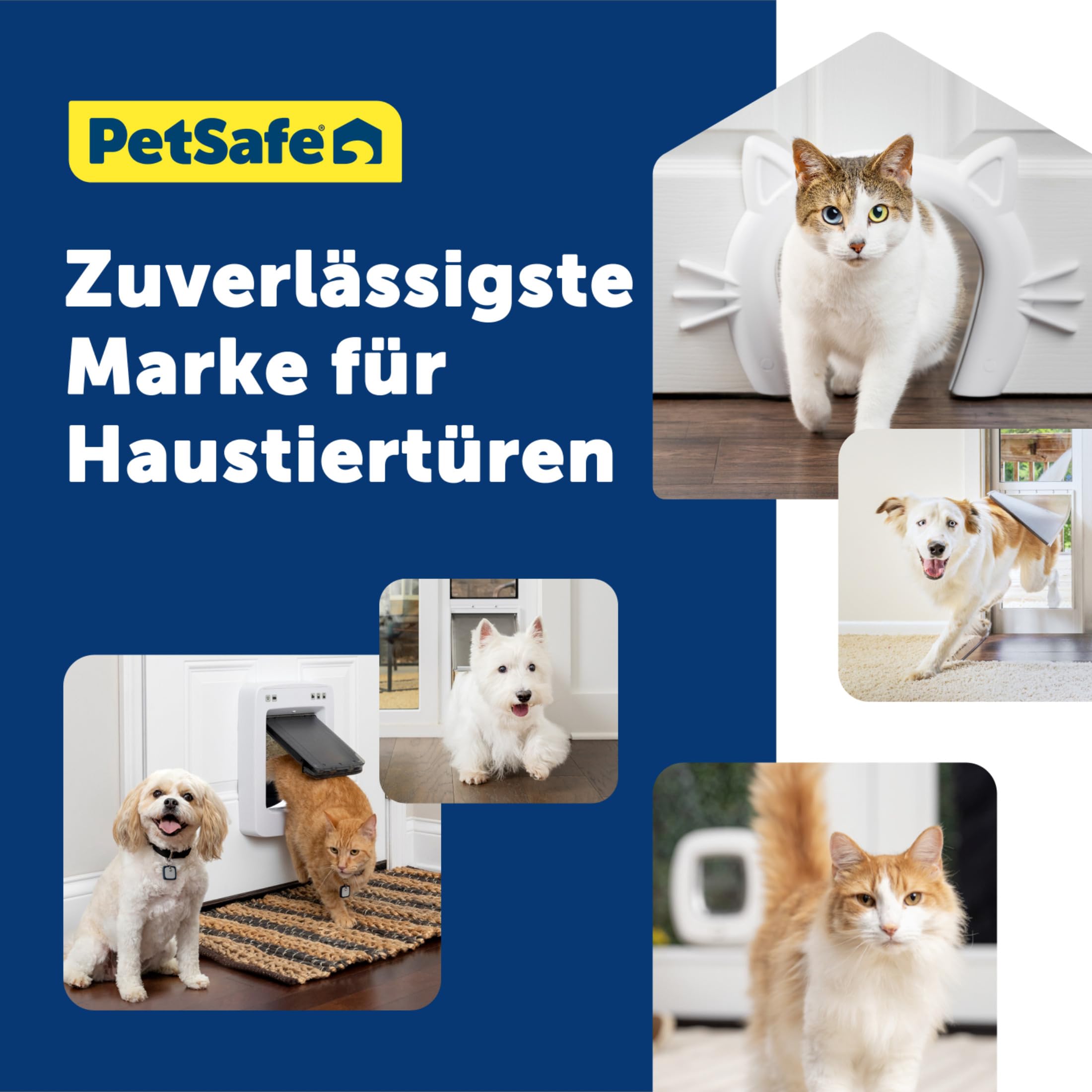 PetSafe Große Katzenklappe - Für Türen im Innen- & Außenbereich - 4 Verschlussoptionen & Sanft Schließende Klappe - Für Katzen & Kleine Hunde