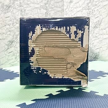 Amazon.co.jp: 廃盤 テンマクデザイン 炎幕DX ver.2