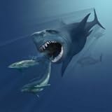 Hungry Shark Attack Hunting Game Deep Sea Evolution Deadly Underwater Shark Shooting Games