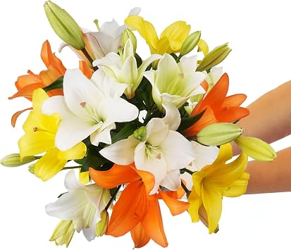 BloomsyBox 10 Stem Multicolor Asiatic Lilies (Glass Vase Included) Fresh Flowers for Delivery Gift for Birthday, Anniversary, Sympathy, Get Well, Congratulations