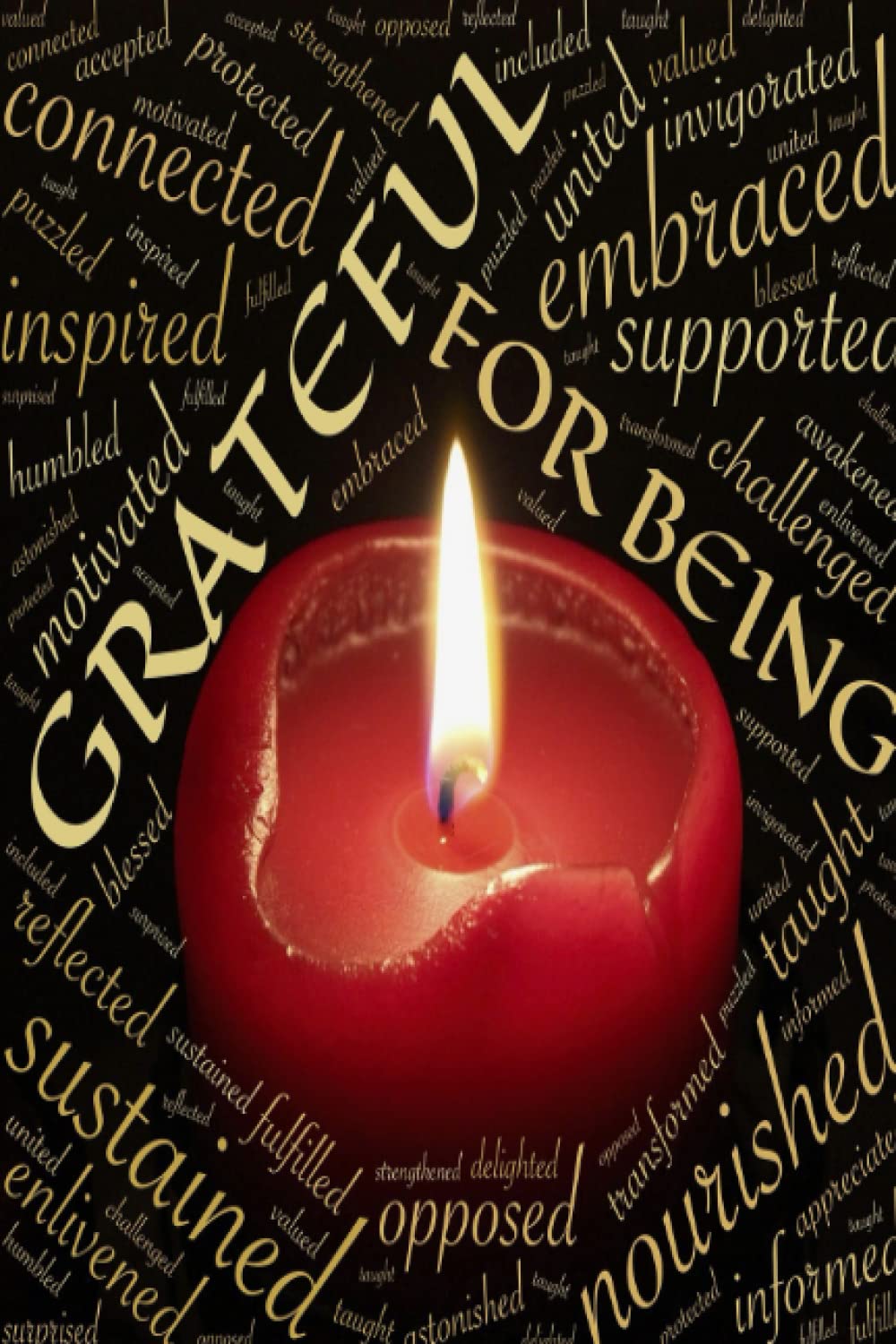 Independently published Gratitude Journal: Daily Gratitude Journal