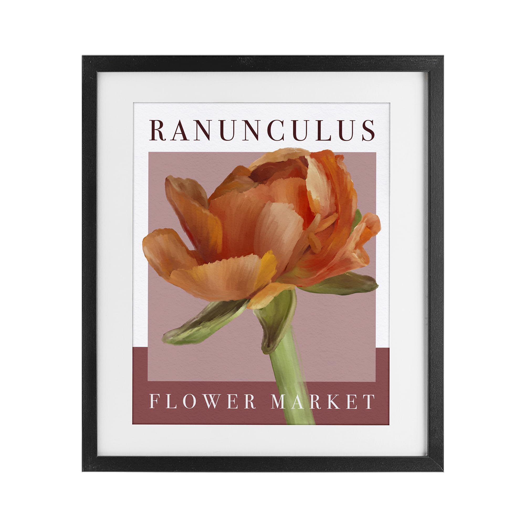 'Ranunculus Flower Market'| Framed Print Under Glass