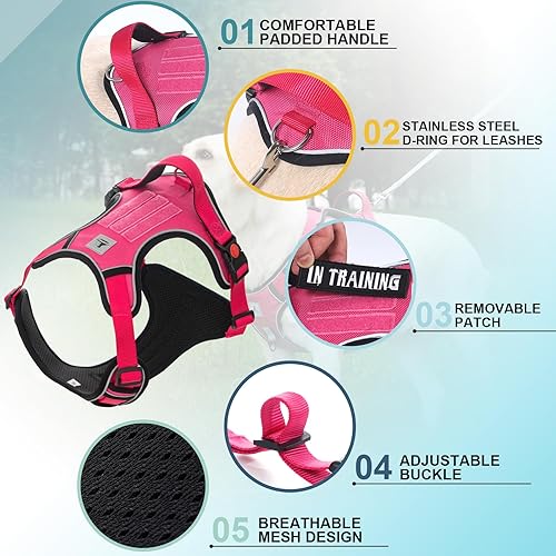 Miniatura 3 de TomteNisse Arnés para perro de servicio, arnés para mascotas sin tirones con 2 clips para correa, chaleco reflectante ajustable para perro sin