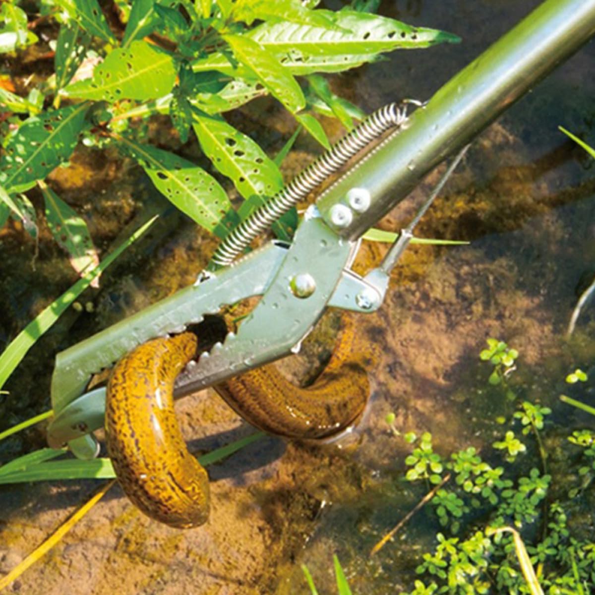 Pinze per Granchi in Acciaio Inossidabile Antiscivolo Design Ampio Multiuso, Morsetto Robusto per Pesca di Serpenti di Mare per Barbecue