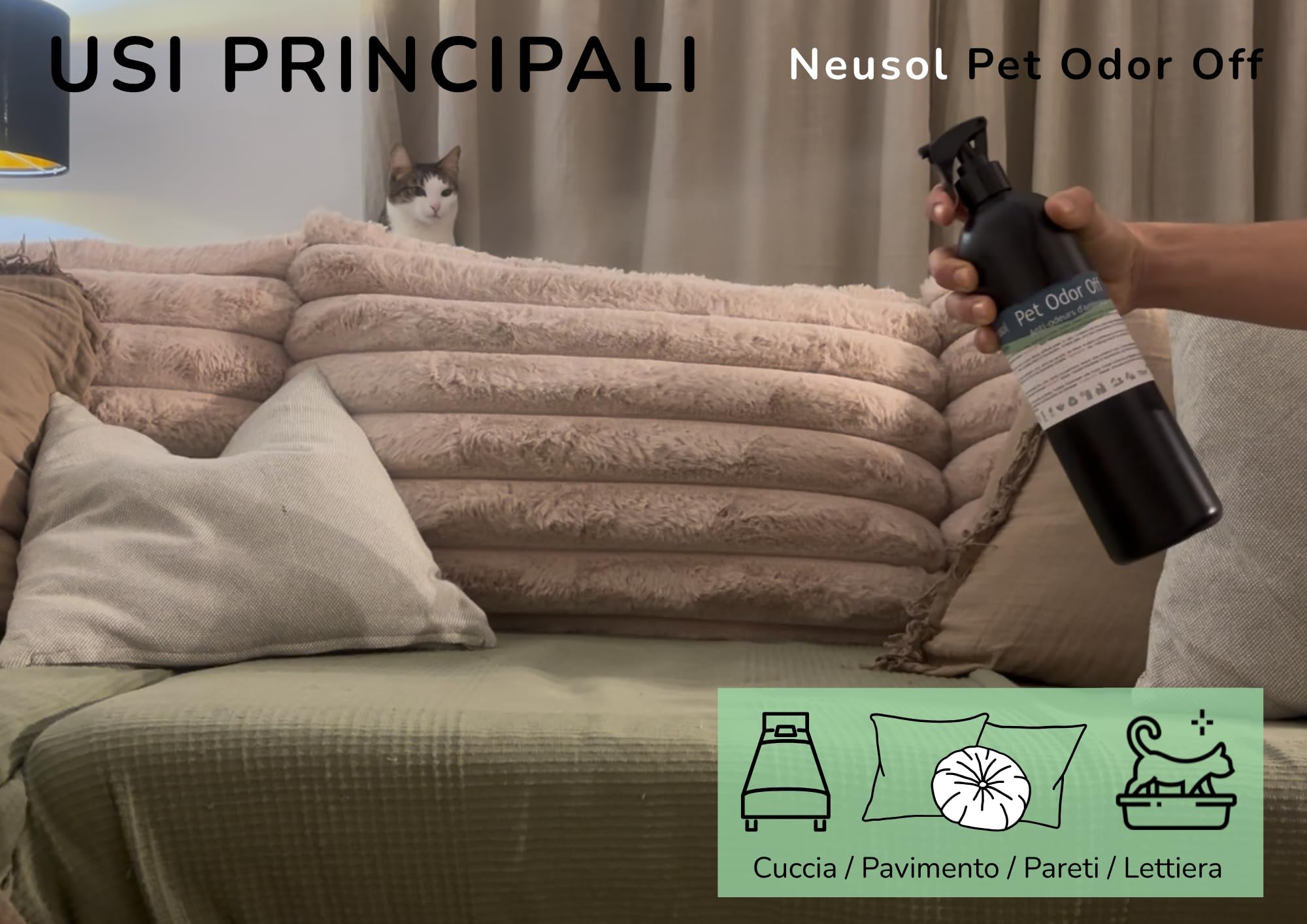 Pet Odor Off – Neutralizzante naturale | Elimina gli odori di animali: urina, vomito, escrementi, ecc. Su pavimenti, pareti, tessuti, prati, ecc. | Formula sicura senza CLP o profumo. 5
