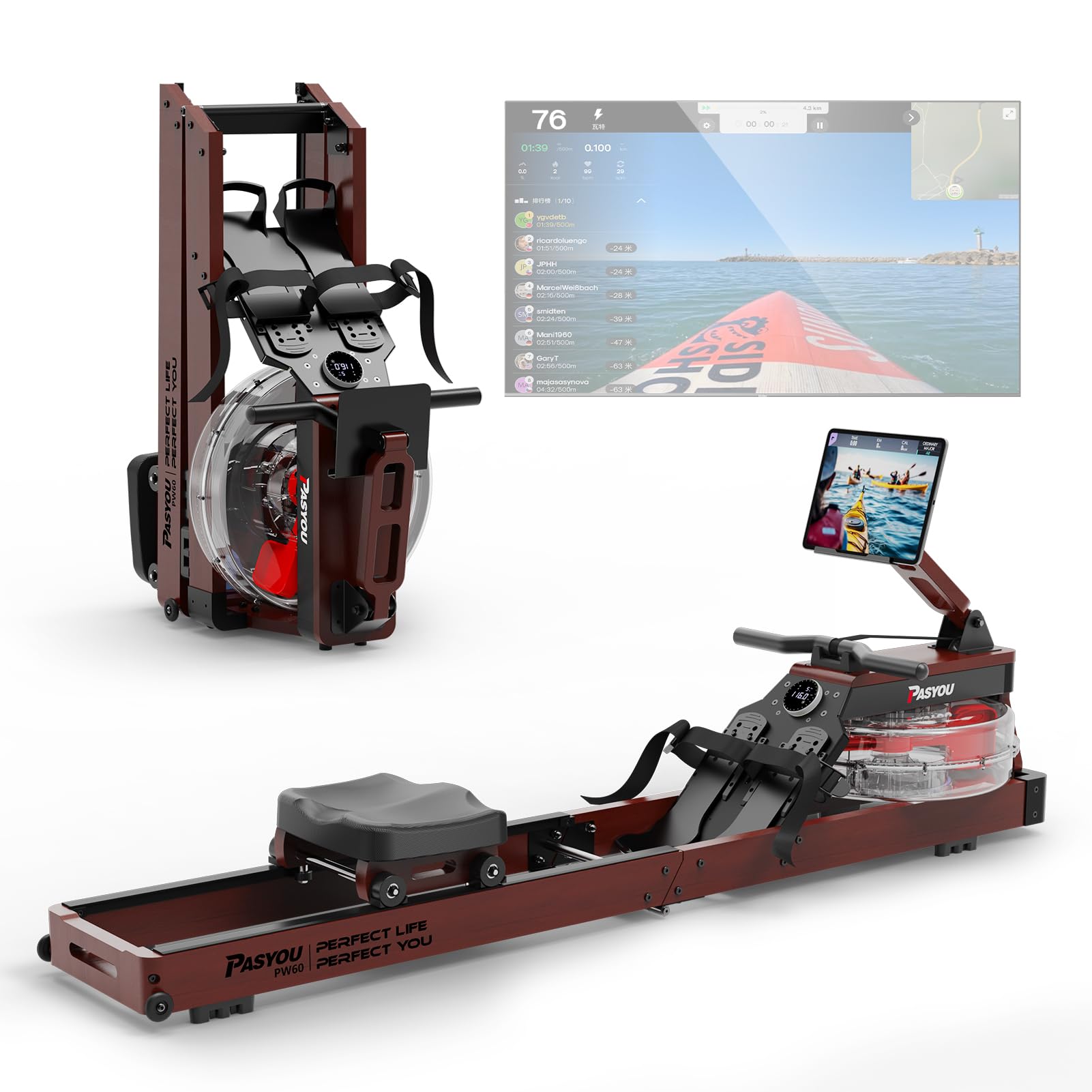 PASYOU Vogatore per casa in quercia, 150 kg vogatore ad acqua pieghevole con display Bluetooth e 30 giorni di abbonamento cinematografico gratuito, vogatore con supporto per tablet regolabile PW60