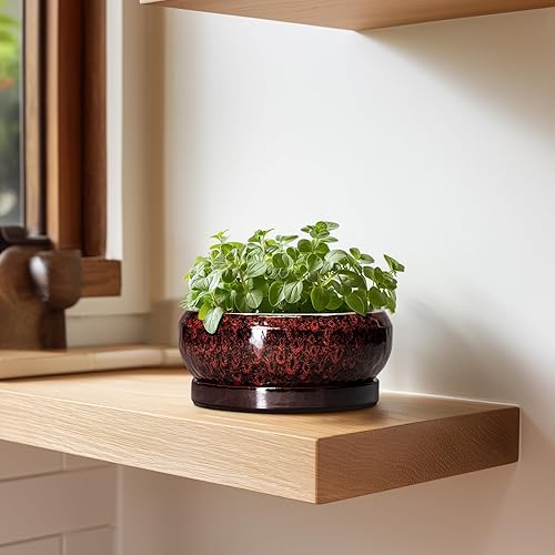 Miniatura 6 de Macetas para suculentas de 6 pulgadas, macetas de cerámica para bonsái con orificio de drenaje y platillo, maceta pequeña para bonsái, cuenco