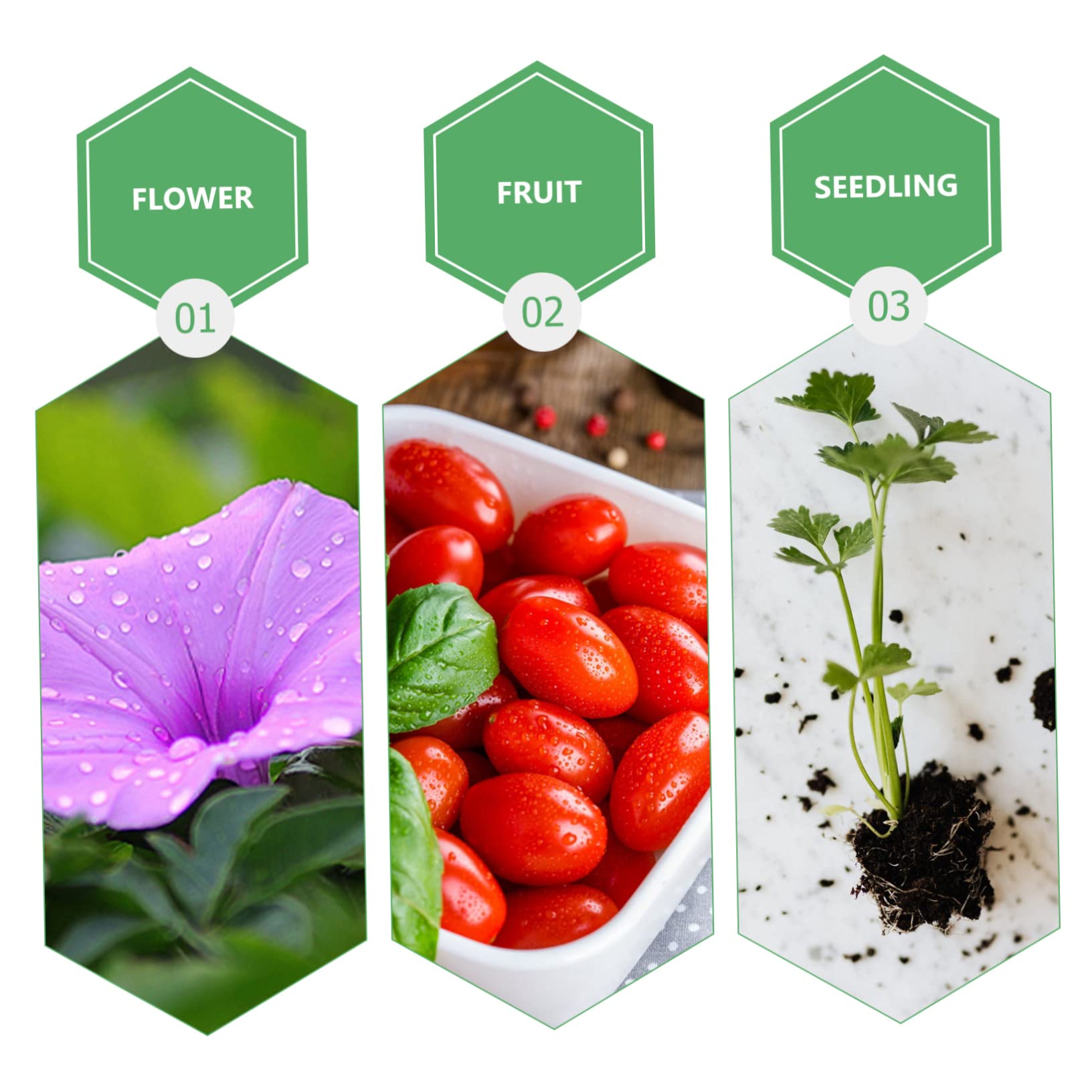 Esponja Hidropónica Eva para Cultivo de Hortalizas 50piezas | Bloques Nutritivos, Apta Mayoría de Semillas, Uso en Base de Plantación y Jardinería de Vegetales Color Aleatorio
